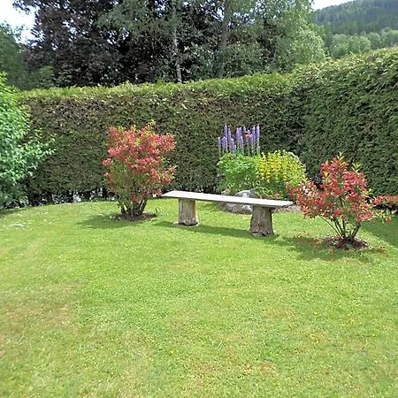 Kreischberg Mayer